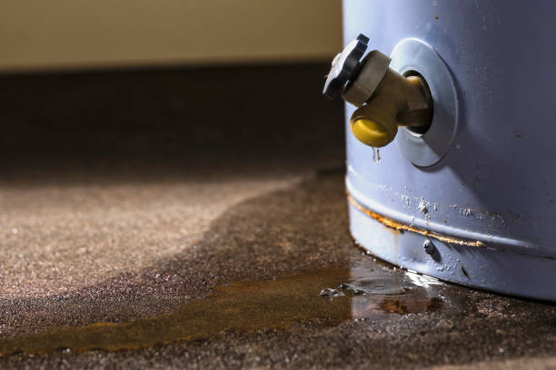 Reliable Fort Meade, FL Water damage restoration Solutions