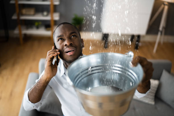 Best Water damage cleanup near me  in Fort Meade, FL
