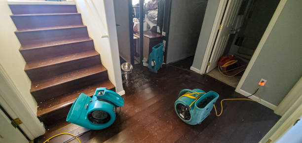 Best Local water damage restoration  in Fort Meade, FL
