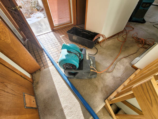 Best Residential water damage restoration  in Fort Meade, FL