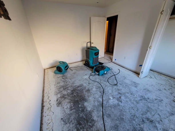 Best Water damage restoration specialists  in Fort Meade, FL