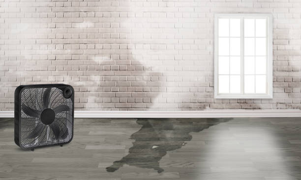 24/7 water damage repair in Fort Meade, FL