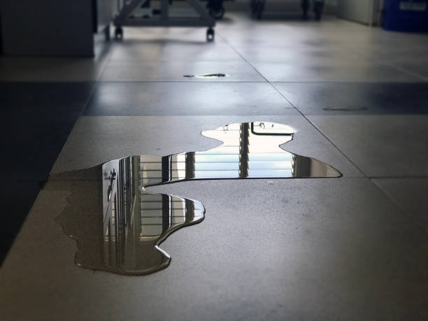Best Water damage repair service  in Fort Meade, FL