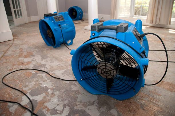 Best Professional water damage repair  in Fort Meade, FL
