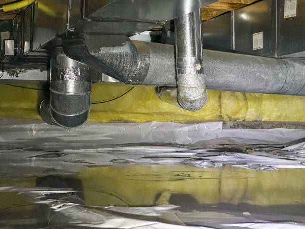 Best Flood restoration services  in Fort Meade, FL