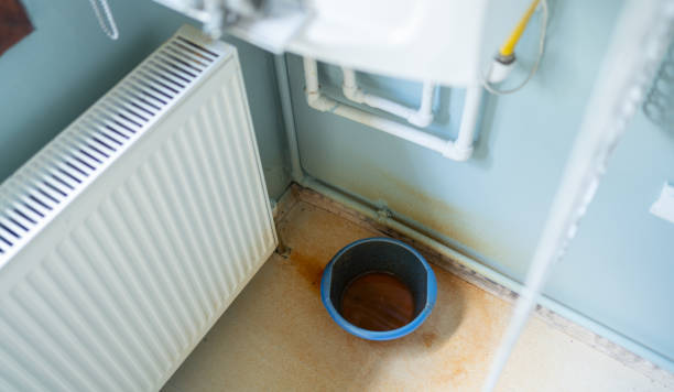 Best Sewage cleanup and water damage restoration  in Fort Meade, FL