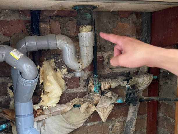 Local water damage restoration in Fort Meade, FL