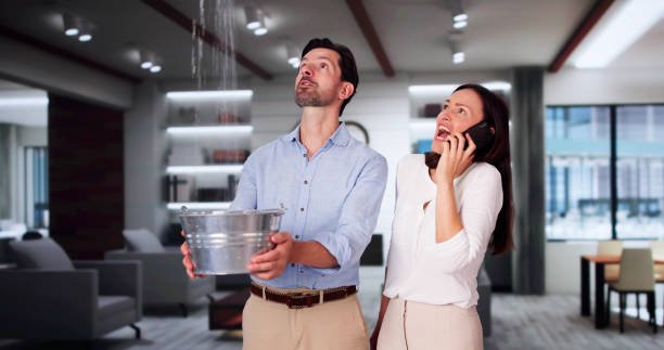 Best Fire Damage Restoration  in Fort Meade, FL