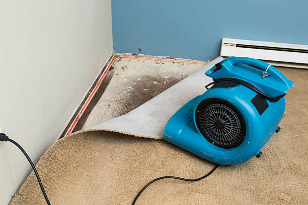 Best Ceiling water damage repair  in Fort Meade, FL