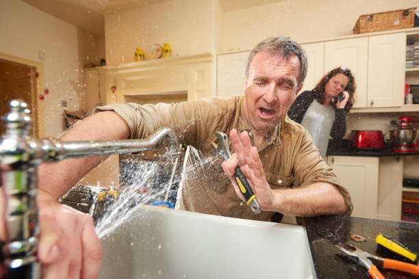 Best Sewage cleanup and water damage restoration  in Fort Meade, FL